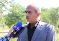 لرستان پتانسیل تبدیلشدن به قطب تولید گیاهان دارویی کشور را دارد لرستان پتانسیل تبدیلشدن به قطب تولید گیاهان دارویی کشور را دارد