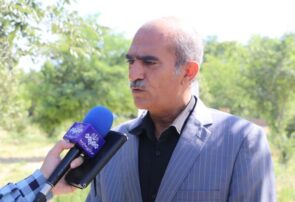 لرستان پتانسیل تبدیلشدن به قطب تولید گیاهان دارویی کشور را دارد لرستان پتانسیل تبدیلشدن به قطب تولید گیاهان دارویی کشور را دارد