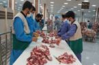 نظارت دامپزشکی بر ۲ هزار رأس دام قربانی در آذربایجان‌شرقی