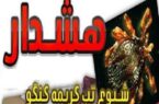 هشدار سازمان دامپزشکی درباره شیوع تب کریمه کنگو