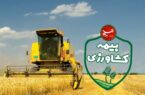 پرداخت ۶.۵ همت خسارت بیمه‌ای به کشاورزان