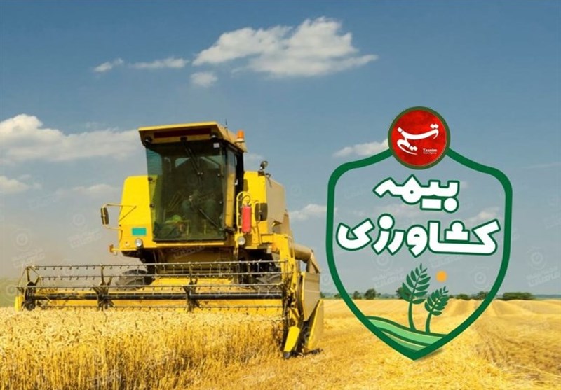 پرداخت ۶.۵ همت خسارت بیمه‌ای به کشاورزان