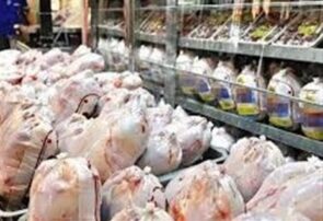 کاهش قیمت مرغ به کیلویی ۳۶۰ هزار تومان