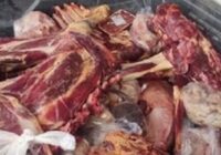 کشف سردخانه غیرمجاز نگهداری ۵ تن فرآورده خام دامی در یک منزل مسکونی