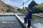 آبزی‌پروری دانش‌بنیان محور جهش تولید و امنیت غذایی است