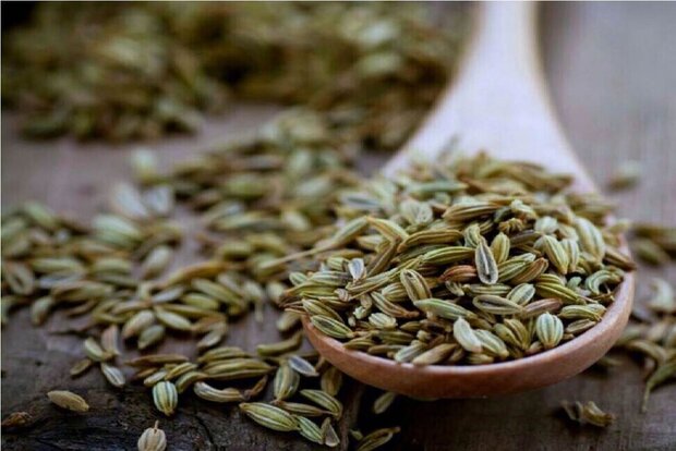 آیا «رازیانه» باعث افزایش شیرمادر می شود