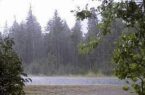 بارندگی در راه ۴ استان جنوبی کشور| در کدام مناطق دما کاهش می یابد؟