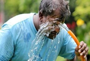 بهترین خوراکی‌های سنتی برای پیشگیری از گرمازدگی؛ توصیه‌های طب ایرانی