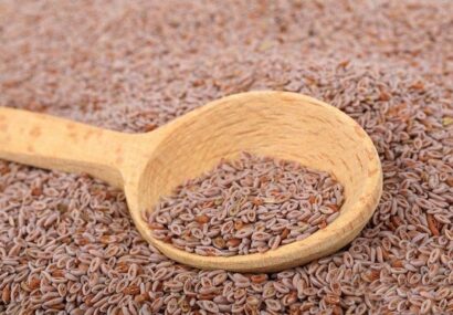 نسخه طب سنتی برای پیشگیری از گرمازدگی در پیاده‌روی اربعین