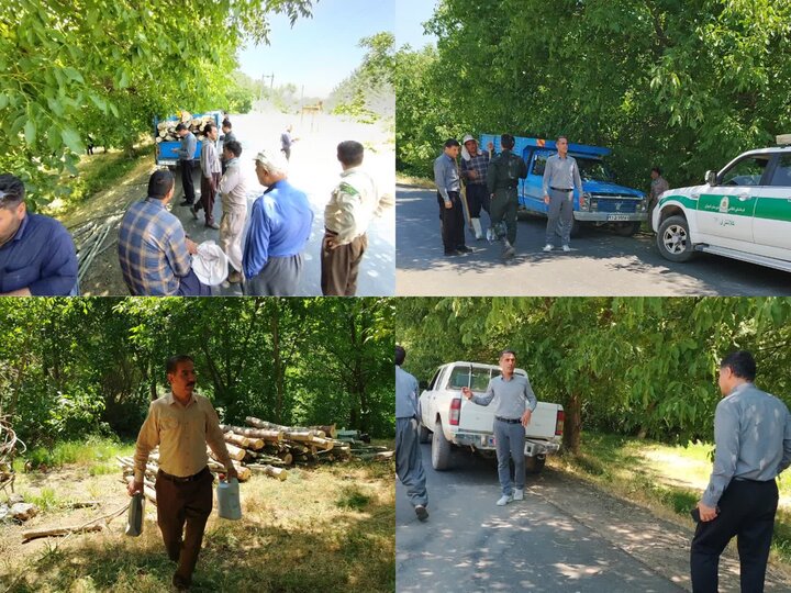 کشف ۵۰۰ کیلوگرم چوب حاصل از قطع غیرمجاز درختان بید در کامیاران