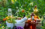 گیاهان دارویی؛ از درمان‌های سنتی تا ضرورت مصرف آگاهانه