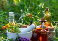 گیاهان دارویی؛ از درمانهای سنتی تا ضرورت مصرف آگاهانه گیاهان دارویی؛ از درمانهای سنتی تا ضرورت مصرف آگاهانه