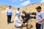 ارائه بیش از ۸۰۰ خدمت تخصصی و رایگان دامپزشکی به عشایر زنگوای بویراحمد ارائه بیش از ۸۰۰ خدمت تخصصی و رایگان دامپزشکی به عشایر زنگوای بویراحمد