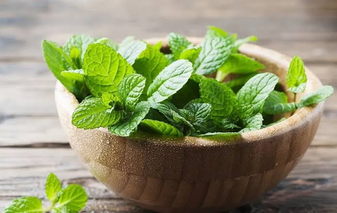 این گیاه معطر میتواند به سلامت گوارش و آرامش بدن کمک کند