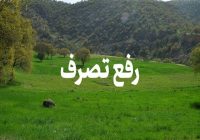 رفع تصرف ۲۶۰۰ مترمربع از اراضی ملی در حوزه سارال دیواندره رفع تصرف ۲۶۰۰ مترمربع از اراضی ملی در حوزه سارال دیواندره