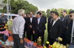 سراب؛ قطب تولید عسل و فرآورده‌های دامی آذربایجان شرقی