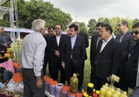 سراب؛ قطب تولید عسل و فرآورده‌های دامی آذربایجان شرقی