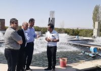 سرانه مصرف آبزیان در آذربایجان شرقی به ۸.۹ کیلوگرم رسید
