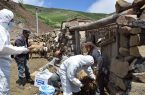 سمیعیان: پیشگیری تنها راه مقابله با بیماری مرگبار هاری است سمیعیان: پیشگیری تنها راه مقابله با بیماری مرگبار هاری است