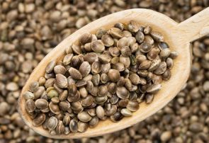 شاهدانه در مقابل دانه کتان؛ بهتر است کدام‌یک را مصرف کنیم؟
