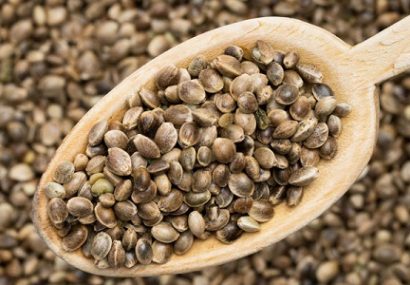 شاهدانه در مقابل دانه کتان؛ بهتر است کدامیک را مصرف کنیم؟ شاهدانه در مقابل دانه کتان؛ بهتر است کدامیک را مصرف کنیم؟