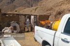 شریعتی: خدمات جهادی دامپزشکی در مناطق کم‌برخوردار ادامه دارد