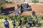 عملیات قطع و قاچاق بلوط در جنگل‌های کامیاران متوقف شد