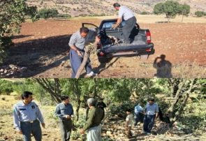عملیات قطع و قاچاق بلوط در جنگلهای کامیاران متوقف شد عملیات قطع و قاچاق بلوط در جنگلهای کامیاران متوقف شد