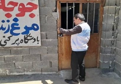 مراکز غیرمجاز عرضه مرغ زنده در منطقه مزدک بویراحمد مهر و موم شد