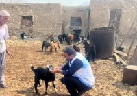 پایش سلامت دام‌ها در روستاهای شهرستان دیر