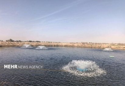 کرمانشاه؛ از قطب تولید ماهی تا خیز برای فتح بازارهای صادراتی خاویار کرمانشاه؛ از قطب تولید ماهی تا خیز برای فتح بازارهای صادراتی خاویار