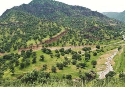 ۱۴۰ جنگلبان از عرصه های جنگلی استان ایلام حفاظت میکنند ۱۴۰ جنگلبان از عرصه های جنگلی استان ایلام حفاظت میکنند