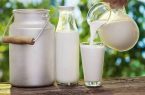 افزایش تولید شیر در آذربایجان شرقی افزایش تولید شیر در آذربایجان شرقی