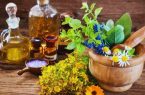 اقتصاد گیاهان دارویی باید بر پایه ظرفیت‌های منابع طبیعی توسعه یابد