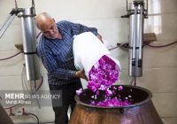 ایران در گردش مالی گل محمدی سهم ناچیزی دارد ایران در گردش مالی گل محمدی سهم ناچیزی دارد