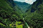 تغییر رویکرد مدیریت جنگلها باید با اجماع کارشناسی همراه شود تغییر رویکرد مدیریت جنگلها باید با اجماع کارشناسی همراه شود