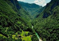 تغییر رویکرد مدیریت جنگلها باید با اجماع کارشناسی همراه شود تغییر رویکرد مدیریت جنگلها باید با اجماع کارشناسی همراه شود