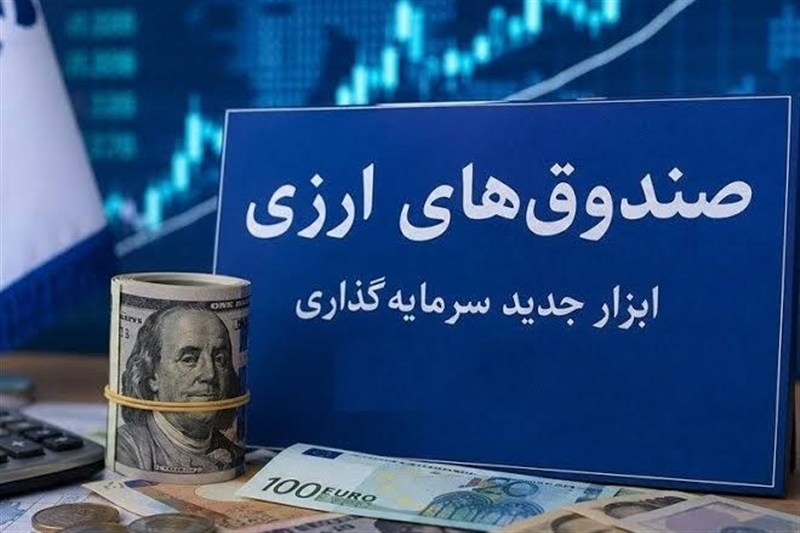 جذب ارزهای راکد مردمی در صندوق‌های ارزی برای ۵ سالِ کشور کافی است