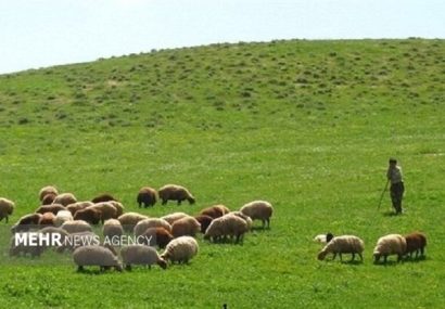 دولت عشایر را نگهبان مراتع زاگرس کند نه مشمول ممنوعیت