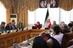رمضانخواه: دولت به دنبال جانشینی بازآفرینی به‌جای بازسازی است