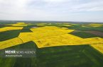 صدور شناسنامه برای صادرات محصولات کشاورزی در حال پیگیری است صدور شناسنامه برای صادرات محصولات کشاورزی در حال پیگیری است