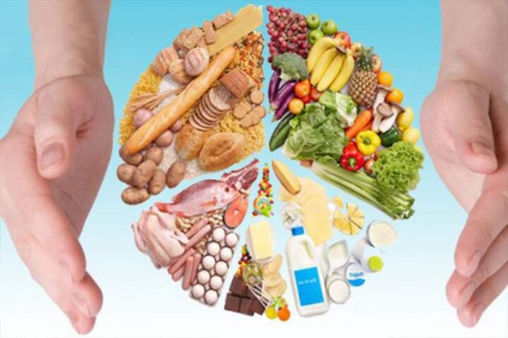 ظرفیت بخش خصوصی و پیشکسوتان برای تقویت امنیت غذایی بهکار گرفته شود