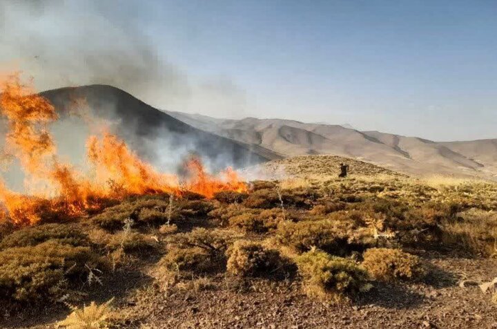 مرادی: حریق در ۲ هزار مترمربع از مراتع دیواندره مهار شد