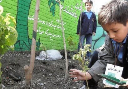 «مهر سبز» با محوریت خانههای محیط زیست مدارس اجرا میشود «مهر سبز» با محوریت خانههای محیط زیست مدارس اجرا میشود