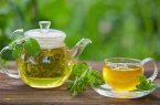 چای سبز؛ نوشیدنی سرشار از ترکیبات گیاهی