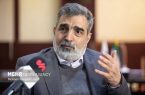 کمالوندی: ایران گزینه‌های زیادی برای دفاع از خود دارد