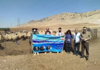 اردوی جهادی دامپزشکی به یاری عشایر دالاهو رفت اردوی جهادی دامپزشکی به یاری عشایر دالاهو رفت