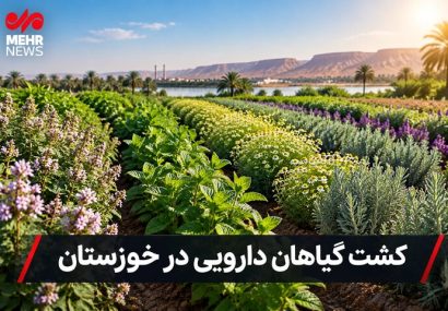 توسعه کشت گیاهان دارویی؛ راهبردی نو برای اقتصاد کشاورزی خوزستان