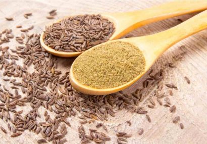 خواص زیره برای گوارش؛ از طب سنتی تا شواهد علمی