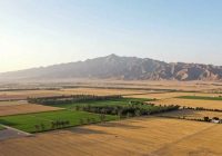 شناسایی ۸ مورد تخریب اراضی ملی و کشف ۲ تن چوب قاچاق در قروه شناسایی ۸ مورد تخریب اراضی ملی و کشف ۲ تن چوب قاچاق در قروه